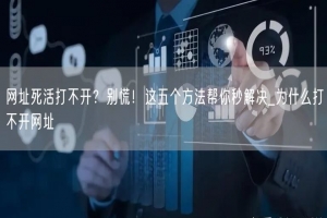 网址死活打不开？别慌！这五个方法帮你秒解决_为什么打不开网址